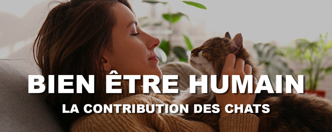 Un Chat et son Humaine se Regardent Tendrement Lors d'un Calin