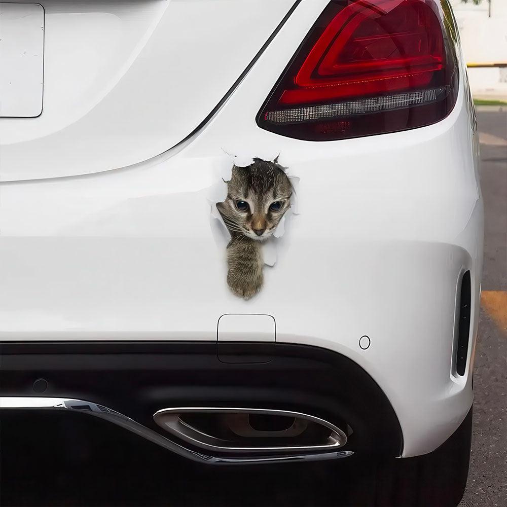 Autocollant Chat Sortant de la Carrosserie