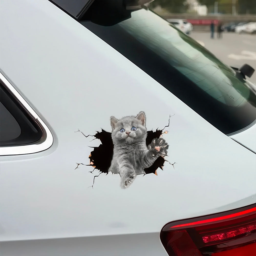 Stickers 3D Chaton Gris Auto