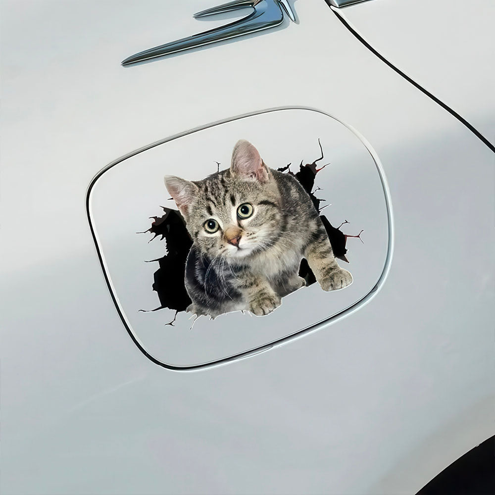 Chat Gris Passe à Travers la Carrosserie de la Voiture Autocollant