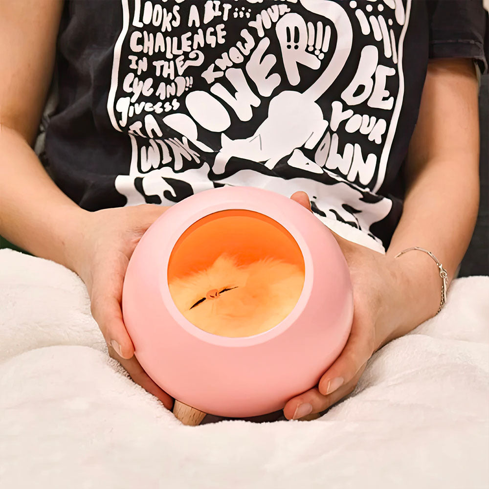 Lampe Led en Forme de Boule Ouverte Rose Chat Mignon Peluche à l'Intérieur