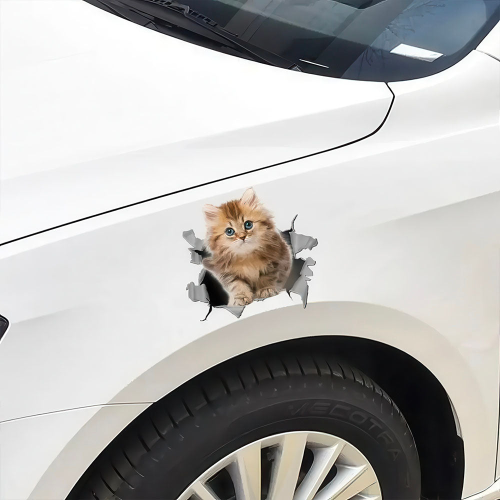 Sticker Humour Chaton Trou dans Voiture