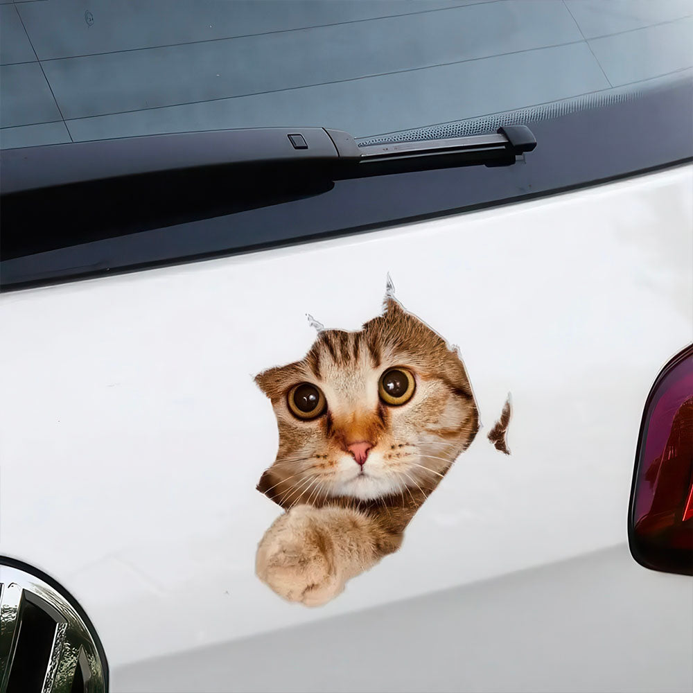 Chat Roux Autocollant Regarde à Travers le Trou de la Carrosserie