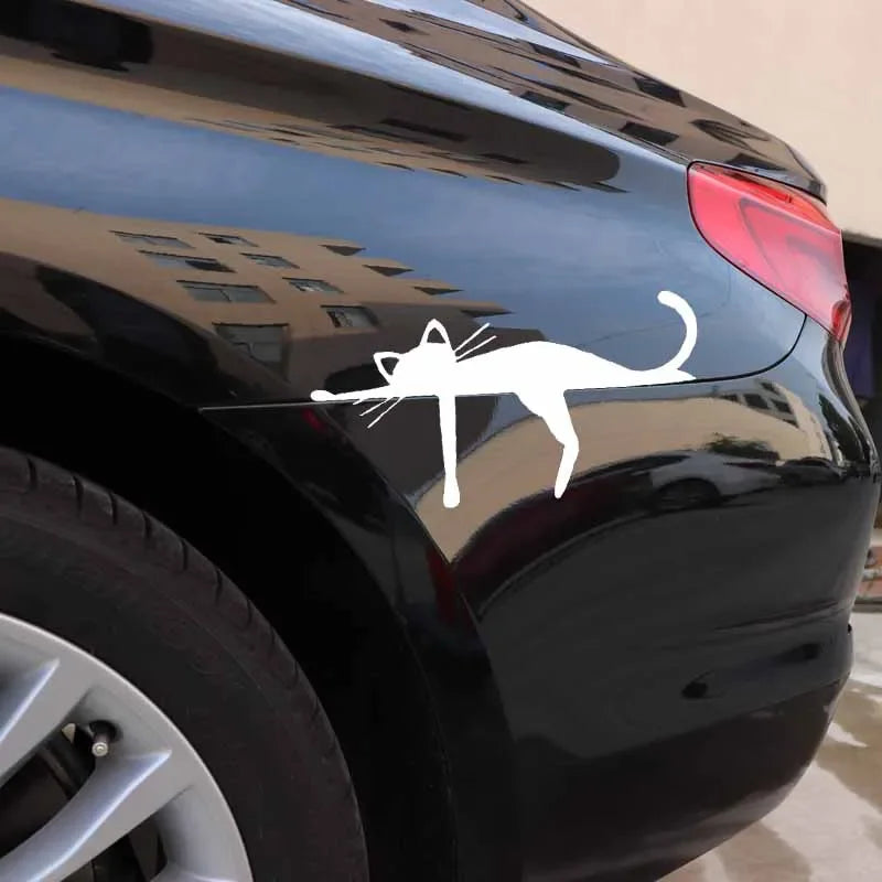 Sticker Chat Blanc Endormi pour Voiture