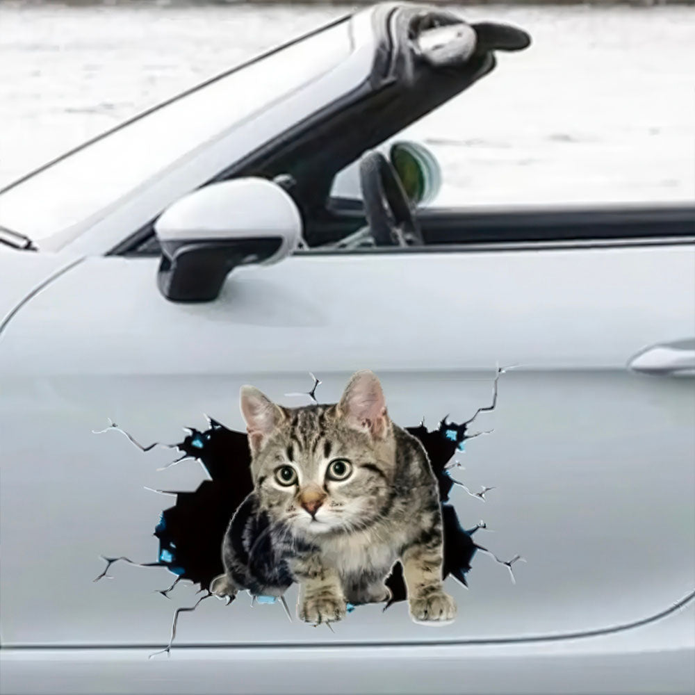 Chat Stickers Auto Gros Trou dans la Carrosserie 3D