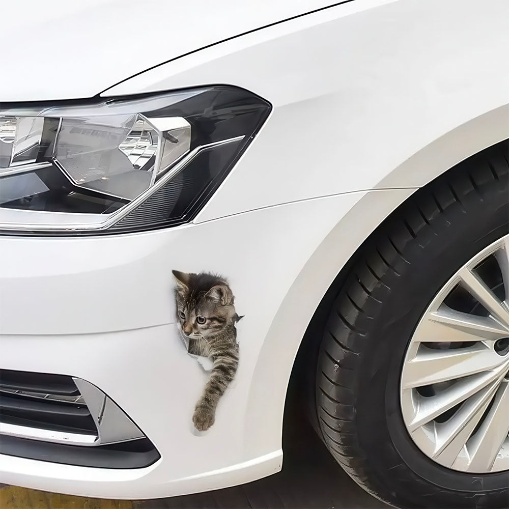 Autocollants Chatons 3D réalistes Voiture