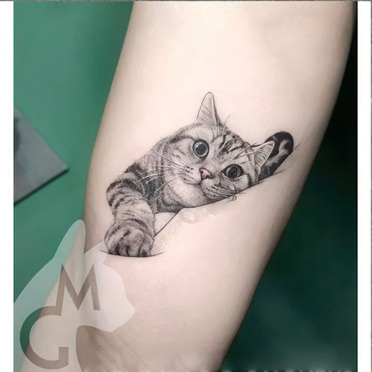 Tatouage Temporaire Chat Réaliste Gris Couché une Patte en Avant