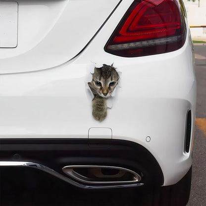 Autocollant Chat Sortant de la  Carrosserie