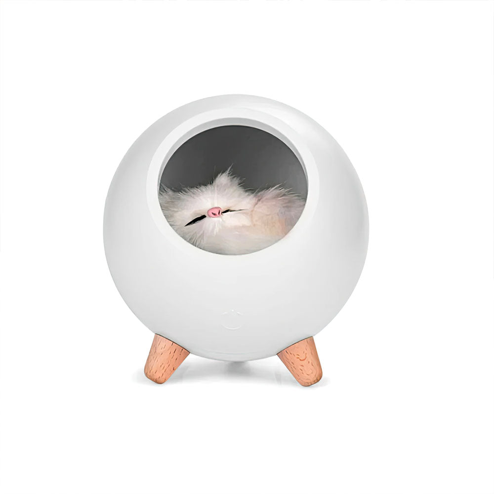 Lampe Led Boule Blanche Sur Pied avec un Chaton  dormant à l'Intérieur