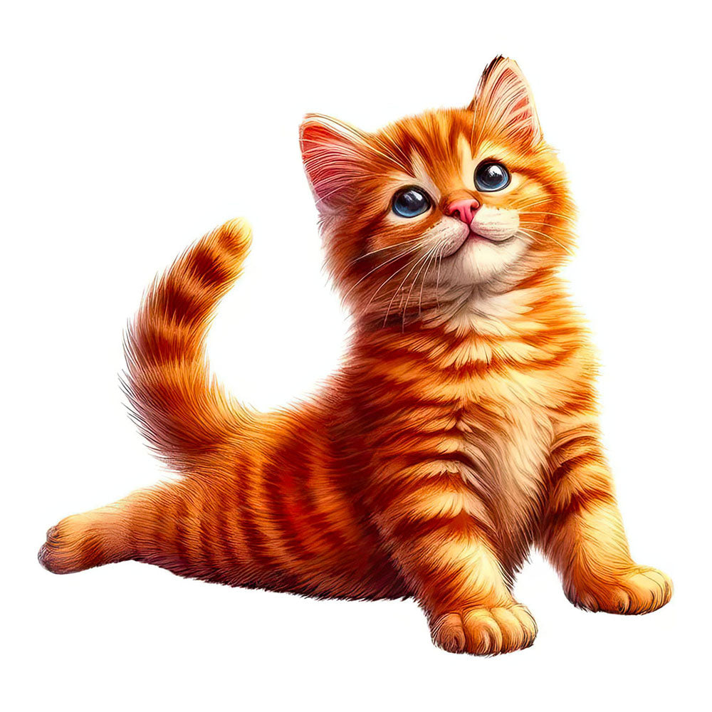 Chaton Roux Mignon qui s'Etire Yoga Autocollant